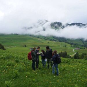 wildkräuterwanderung & apero