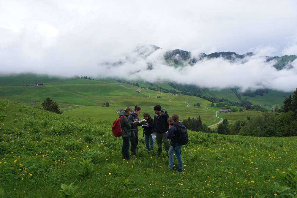 Startseite wildkräuterwanderung & apero