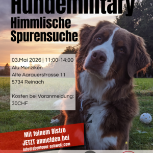 plausch hundemilitary